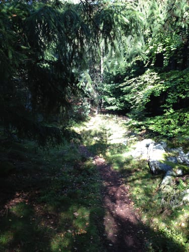 Blättersberg Runde