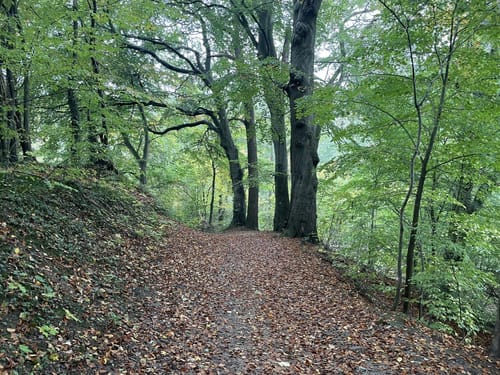 An der Schwentine bis Heegholz