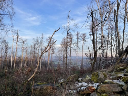 Aus Sora zum Mönchswalder Berg