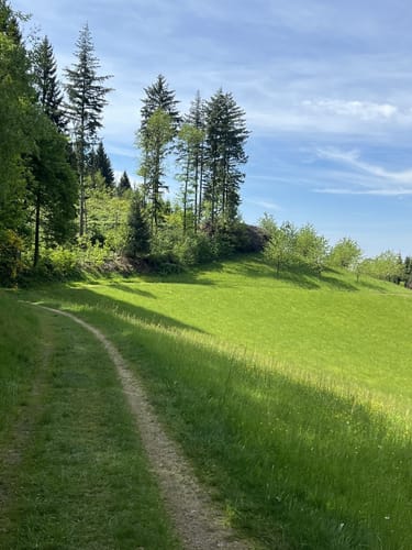 Lautenbacher Hexensteig