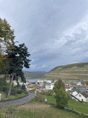 Bingener Burgberg