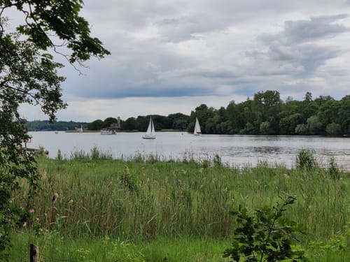 Durch den Düppeler Forst zum Forsthaus Moorlake