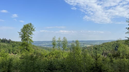 Werkhausen Waldrunde