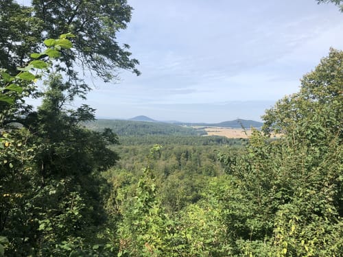 Um die Burgruine Falkenstein