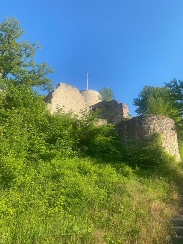 Qualitätsweg 7-Berge-Weg rund um Nagold