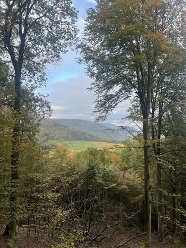 Annweilerer Burgenweg über Föhrlenberg