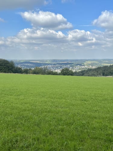 Forsthaus Rundweg A3