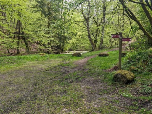H3 Habichtswald: Im Glanz des Herkules