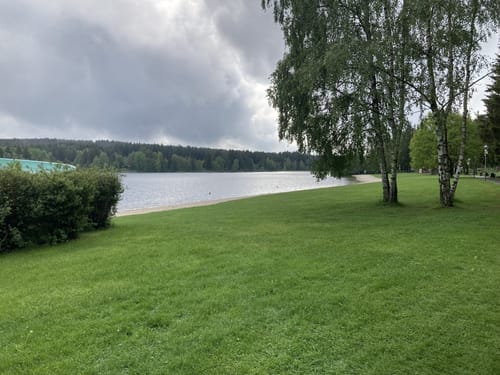 Waldgeisterweg und Greifensteine