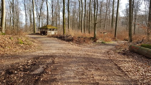 Mountainbike-Rundstrecke Heppenheim HP1