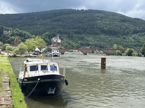 Fränkischer Rotwein Wanderweg Etappe 6: Großheubach - Bürgstadt