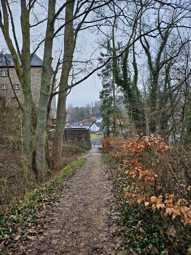 Eifelsteig Etappe 6: Steinfeld - Blankenheim