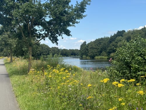 EmsRadweg Etappe 6: Haren - Papenburg