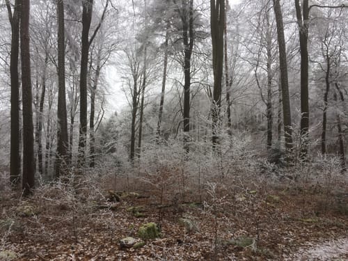 Vom Naturfreundehaus im Heidenbrunner Tal zur Hellerhütte
