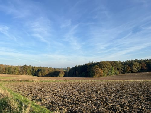 Auf dem Bubenreuther Hochwasserweg