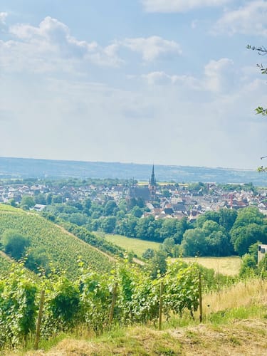 Rheinsteig Etappe 20: Kiedrich - Schlangenbad