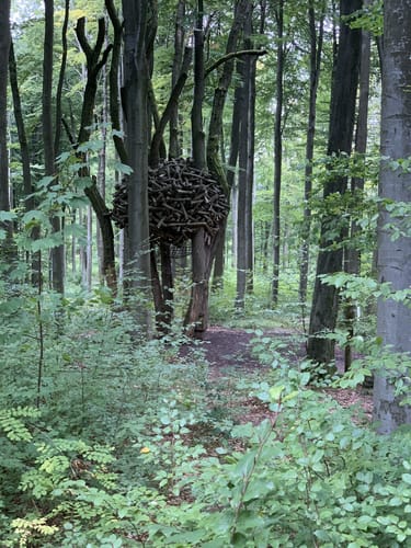 Durch das Modautal