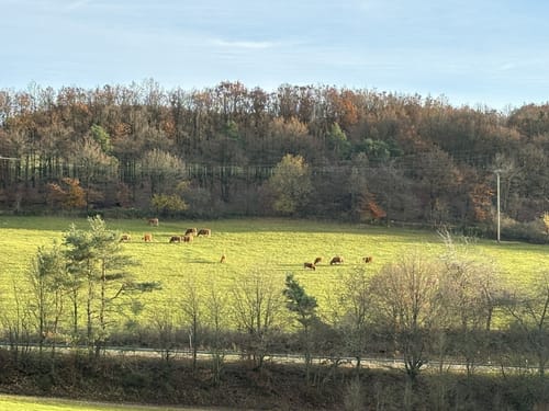 Lind: 3-Dörfer-Rundwege Kombination