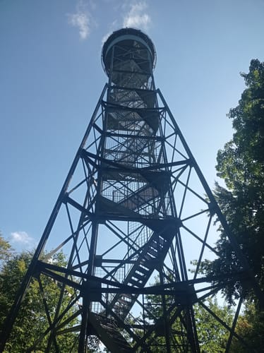 Pyrmonter Berg ab Bergkurpark