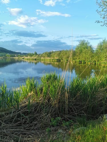 Drachensee-Rundweg - Abkürzung