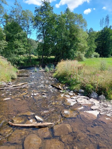 Christenbergtour (Premiumwanderweg)