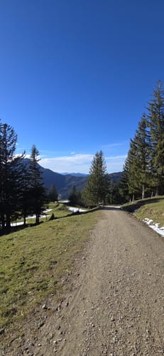 Auf die Farrenpoint