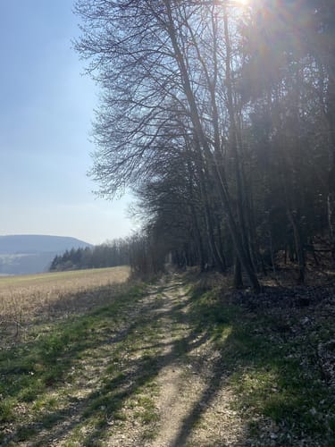 Rund um Gladenbach (G1)