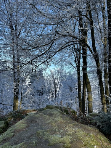 Zum Almersberg