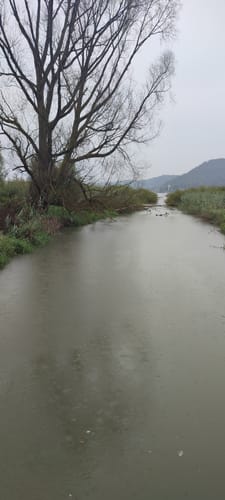Premiumweg SeeGang Etappe 1: Überlingen - Sipplingen