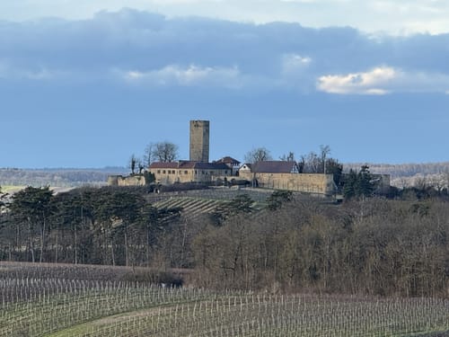SU2 - Wandern zwischen Wein, Wald und Streuobstwiesen