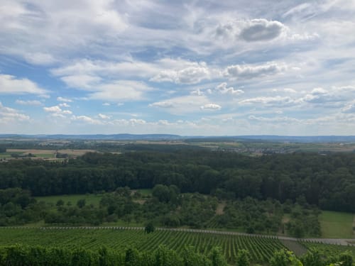 Ludwigsburg - Lemberg Rundweg
