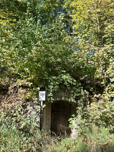 Reinhartshausen - Burgwaldener Weiher - Engelshof