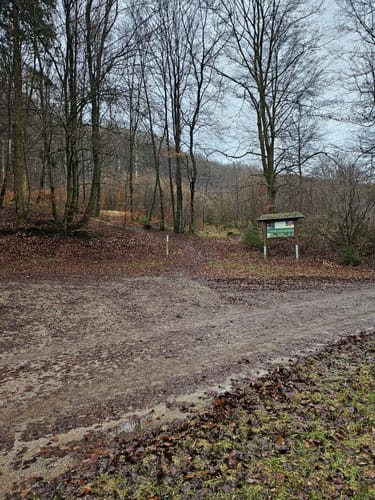 Eifelsteig Etappe 6: Steinfeld - Blankenheim