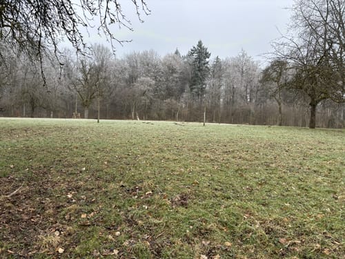 Neckarsteig Etappe 3: Neckarsteinach - Hirschhorn