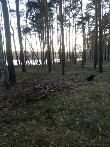 Prieros - Frauensee - Schmöldesee