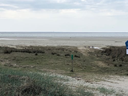 Westliches Juist: Domäne Bill - Hammersee