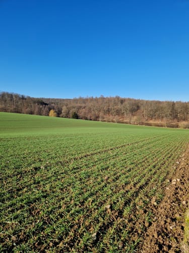 Wanderweg Ronneburger Wald Nr.3