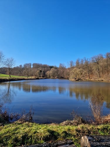 Wanderweg Ronneburger Wald Nr.3