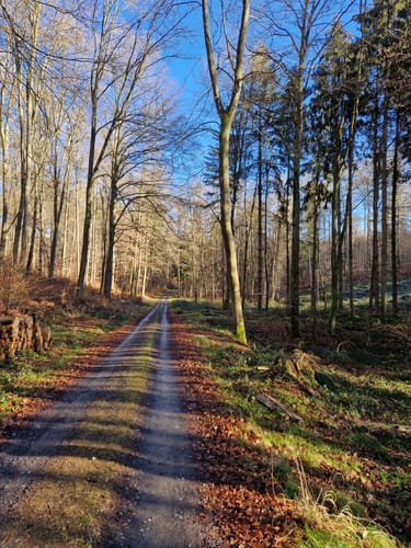 Wanderweg Ronneburger Wald Nr.3