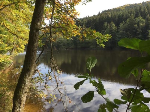 Rundwanderweg Nr. 3 Schönberg
