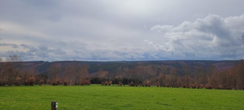 Püngelbach