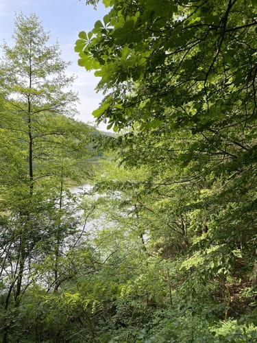 Mittelsee und Langer Haussee