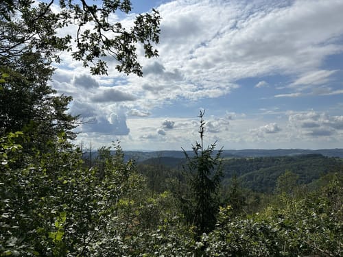 Ruine Neuerburg und Fockenbachtal (Kurtscheid K2)