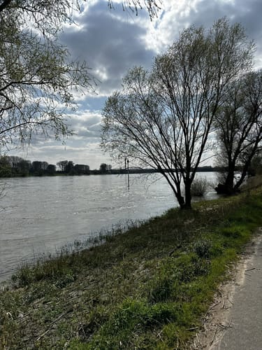 Baerler Busch ab Uettelsheimer See