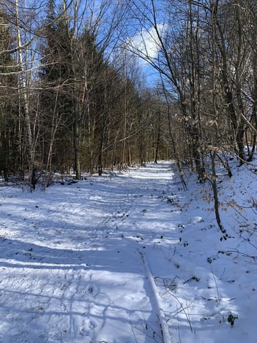 Aarquelle Rundweg