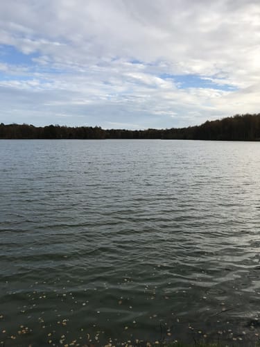 Rund um den See im Maschener Moor