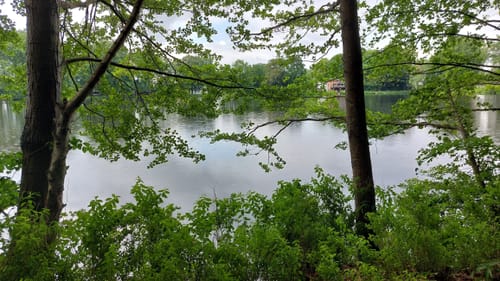 Um den Mühlenteich