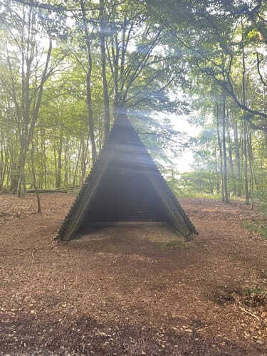 Wildnis Trail Etappe 1: Höfen - Einruhr