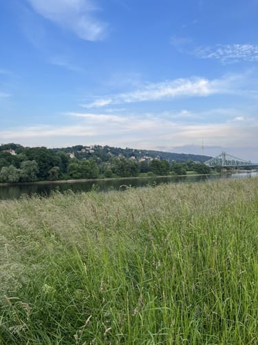 Entlang der Elbe in Dresden