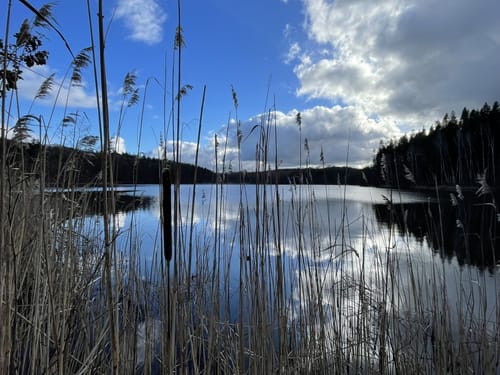 Schloß Boitzenburg zum Krienkowsee